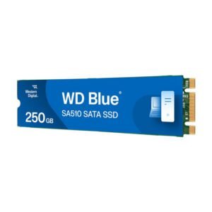 WDS250G3B0B-00AXS0