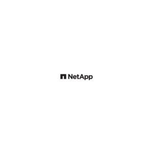 X1152-N-C NetApp - 25G Ethernet Mezzanine Card with Four High-Speed Ports