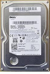 HE253GJ Samsung Spinpoint F3R 250GB 7.2K RPM SATA-II HDD