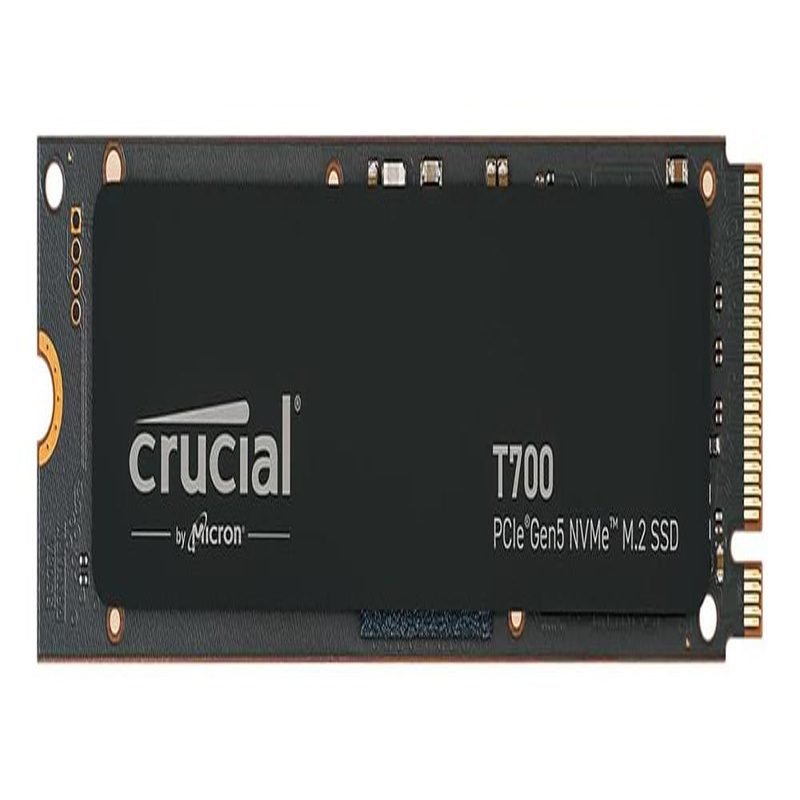 CT1000T700SSD3