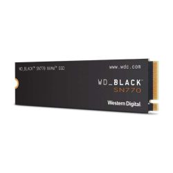 WDS100T3X0E-00B3N0