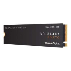WDS100T3X0E